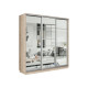 Шкаф-купе Хочу домой Маршал Лайт Дуб Сонома / Зеркало / Серебро, алюминий 60 см