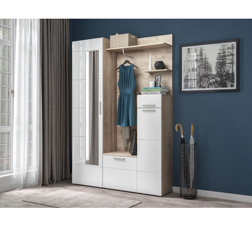 Распашной шкаф Моби Лайн Дуб Крафт серый / Белый глянец Дуб Крафт серый / Белый глянец