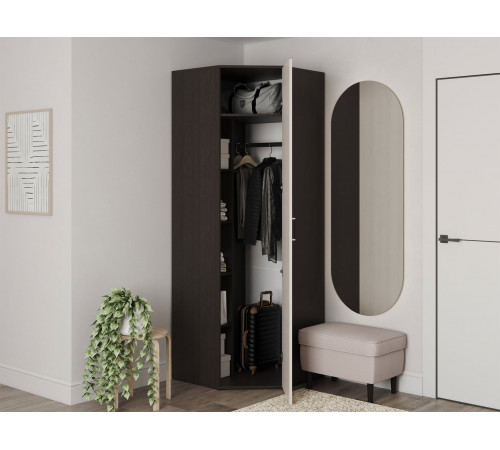 Распашной шкаф BTS Белла Венге / Ясень белый Венге / Ясень белый