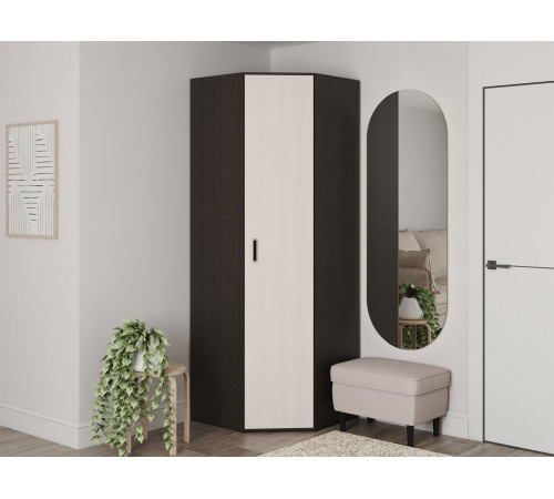 Распашной шкаф BTS Белла Венге / Ясень белый Венге / Ясень белый