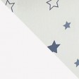 белый / звездное сияние =9 900₽