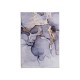 Ковер пэ Silk B286 120х170