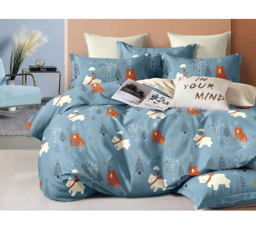 КПБ 1,5-спальный, КПБ(05)-15(244) Ткань: сатин Цвет: разноцветный