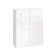 Стрэйт Шкаф 2 дв 70х91,2 см, белый/белый глянец