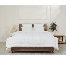 Эвкалипт всесезонное