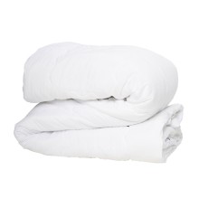 Бамбук всесезонное