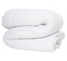 Лебяжий пух всесезонное