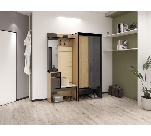 Шкаф-купе Ольга-Лофт 10.1, дуб крафт золотой/темно-серый