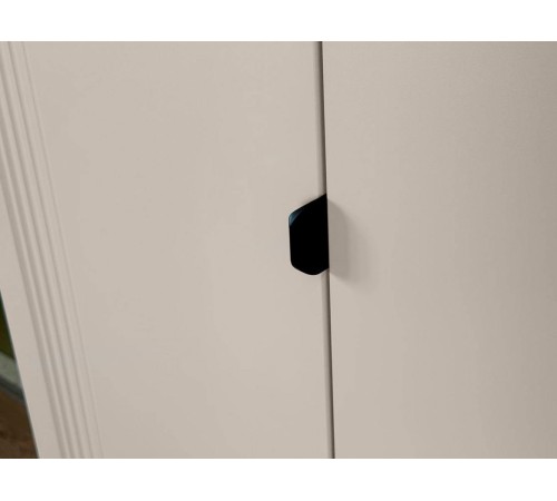 Шкаф 2 дв Рич, кашемир/фрапучино матовый/черный