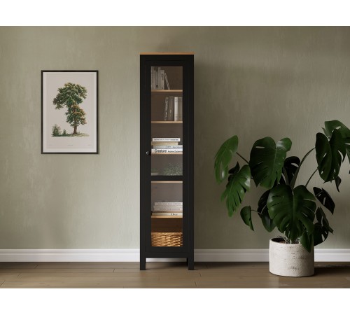 Шкаф-витрина Кымор стекло/стекло 1 дв, Черный/Светло-коричневый