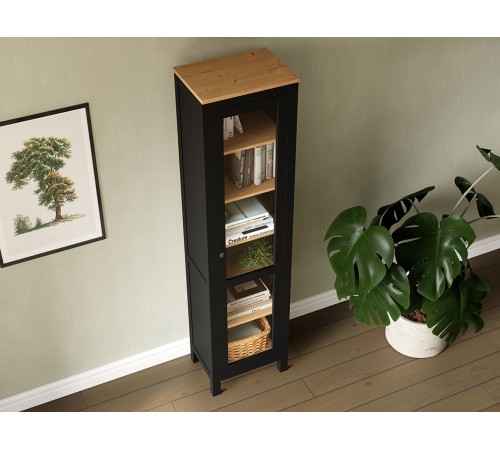 Шкаф-витрина Кымор стекло/стекло 1 дв, Черный/Светло-коричневый