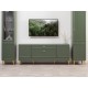 ТВ-тумба Марион 16.167, дымчатый зеленый/олива шагрень