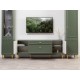 ТВ-тумба Марион 16.167, дымчатый зеленый/олива шагрень